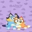 Bluey